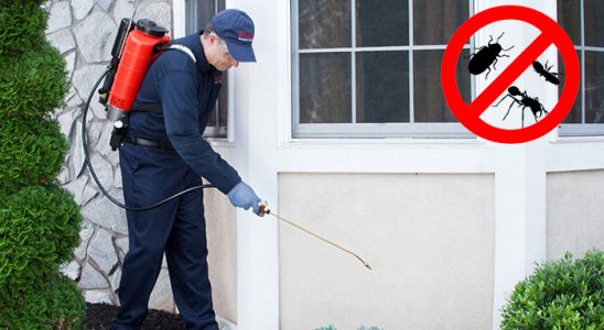 Çekerek Böcek İlaçlama böcek ilaçlama ve haşere kontrolü — ilaclama-tr.com